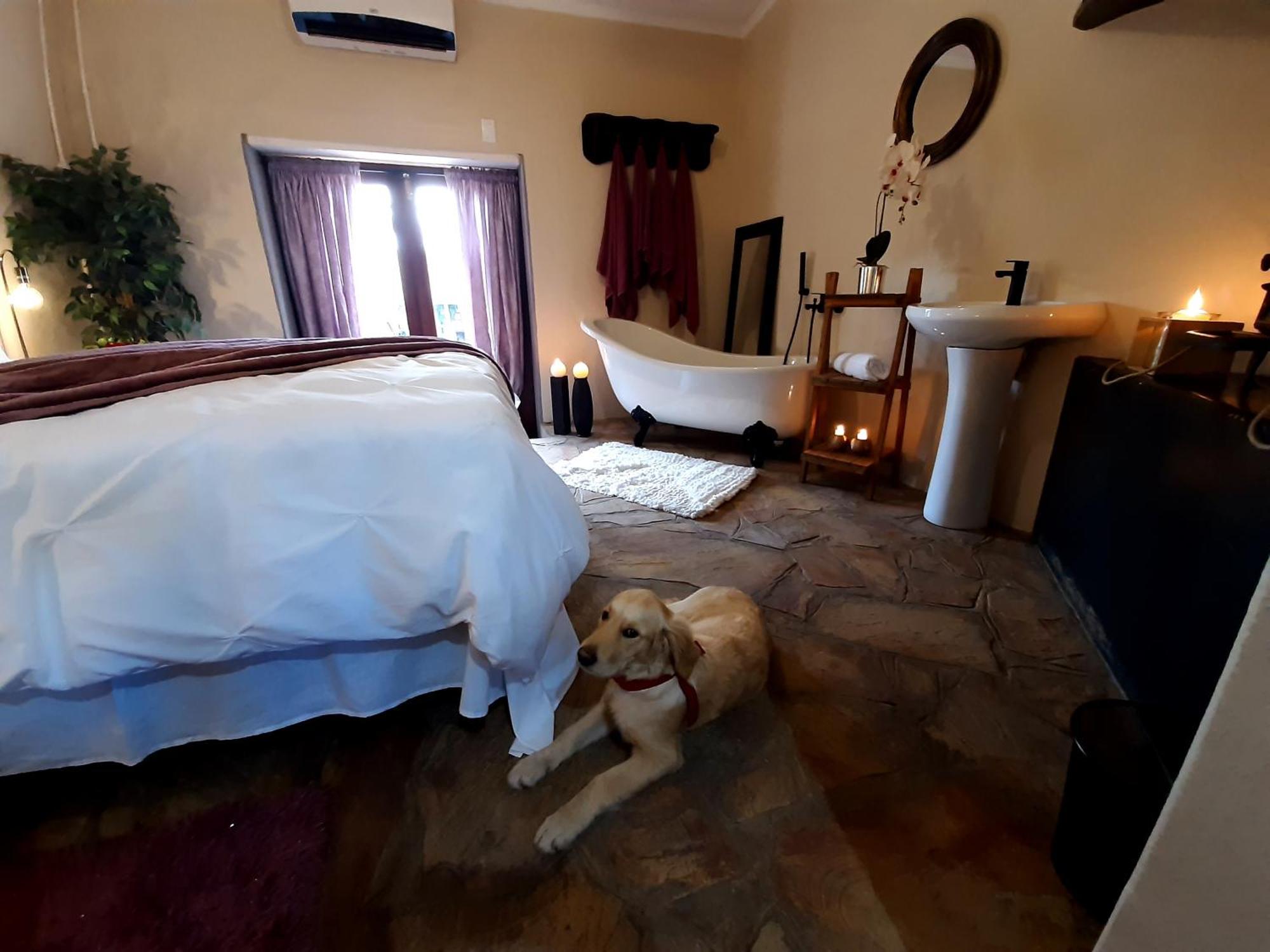 Rosenhof Manor House - Since 1847 Apartamento Clanwilliam Exterior foto